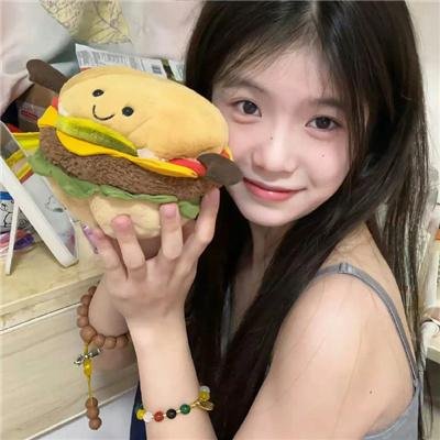 驯鹿大冒险：超越北极光